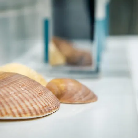 Blekitno Na Bialym * Władysławowo