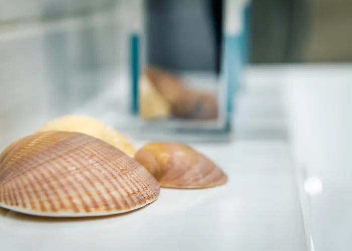 Blekitno Na Bialym * Władysławowo